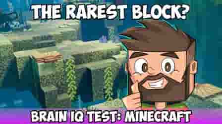 brain iq test minecraft quiz