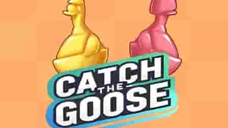 catch the goose