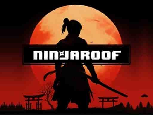 ninjaroof